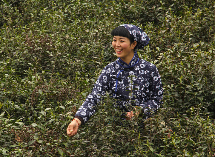 152网主 霓虹之下